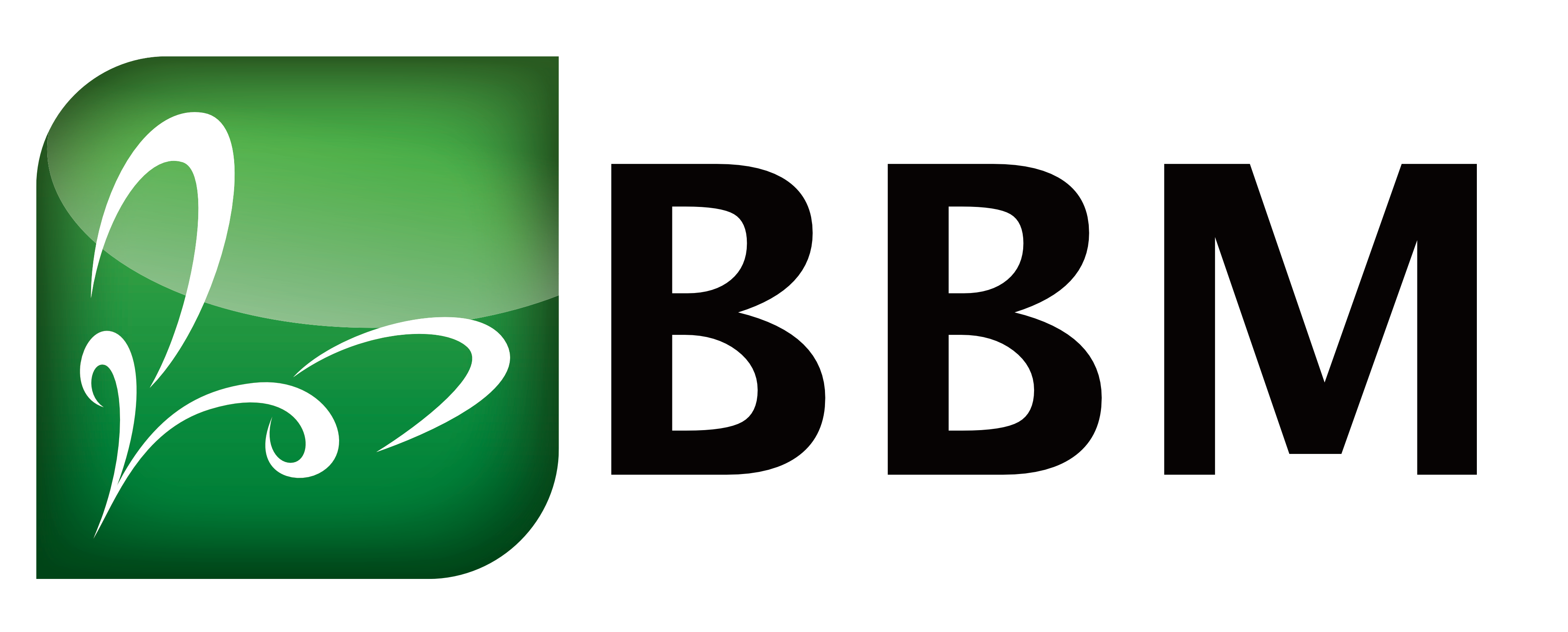 BBM Bahn Baustellen Manager